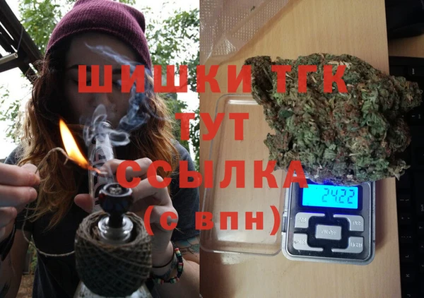 дмт Новозыбков