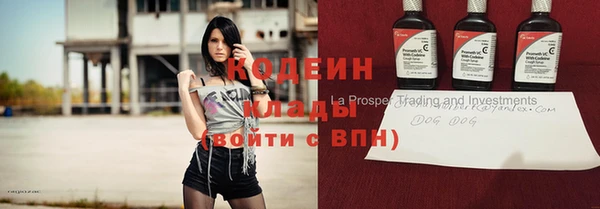 дмт Новозыбков