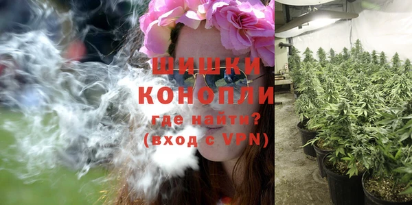 Альфа ПВП Новодвинск