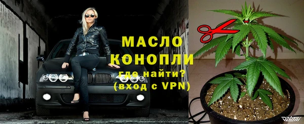 дмт Новозыбков