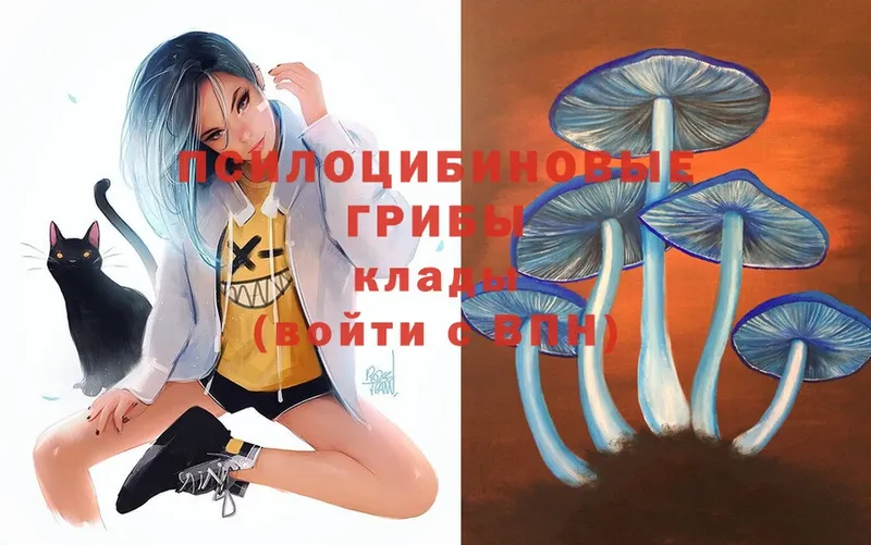 Галлюциногенные грибы Psilocybe  Козельск 