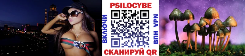 что такое   нарко площадка состав  Псилоцибиновые грибы Psilocybe  Козельск 